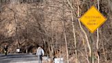 Columbus plans Walhalla Ravine fix, but does it put street fixes over stream solutions?