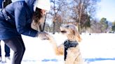 Snow days in Memphis: A mix of blues, basketball and playing with man's best friend