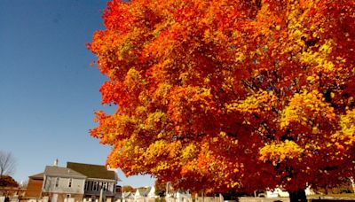 Will the heat carry over to the fall in New England? Here s what AccuWeather is predicting