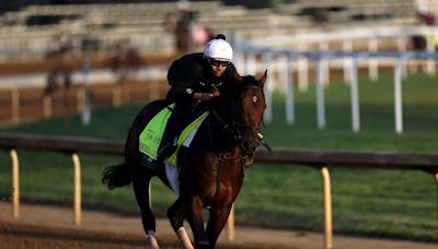 Kentucky Derby Field 2024: Pinpointing Contenders from All Horses and Jockeys