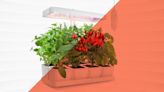 Watch Your Plants Thrive With the Best LED Grow Lights