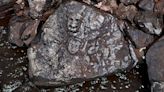 Drought reveals ancient rock carvings of human faces in Brazil