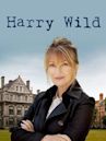 Harry Wild - La signora del delitto