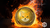 Shiba Inu burn rate skyrockets 200% despite price fluctuations