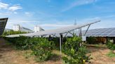Un oasis de paz entre el campo y la fotovoltaica