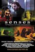 Senses