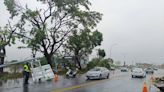 清晨狂風暴雨！高雄茄萣路樹倒塌、路牌倒地 連電線杆也倒了｜壹蘋新聞網