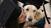 El video más tierno: le dieron un diploma a un perro por ‘’graduarse’' en la primaria | Por las redes