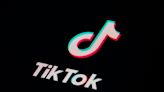 Teen arrested over TikTok ‘prank’ video showing man walking into strangers’ home