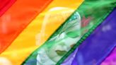 India's Matrimony.com launches app catering to LGBTQIA+ community