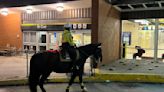 'This is absurd': Toronto police draw immense backlash over horse patrolling TTC amid surge in violence