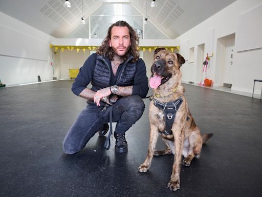 Dogs Trust shelter in Basildon to star in new star-studded BBC documentary