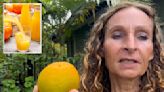 I drank nothing but orange juice for 40 days — here’s what it did to my body