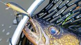 Warm water, temps to welcome Wisconsin anglers for 2024 fishing opener - Outdoor News