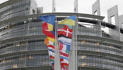 What's at stake in the European Parliament election next month