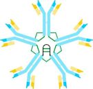 Immunoglobulin M