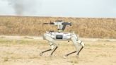 China's military shows off robot dog with automatic rifle mounted on its back