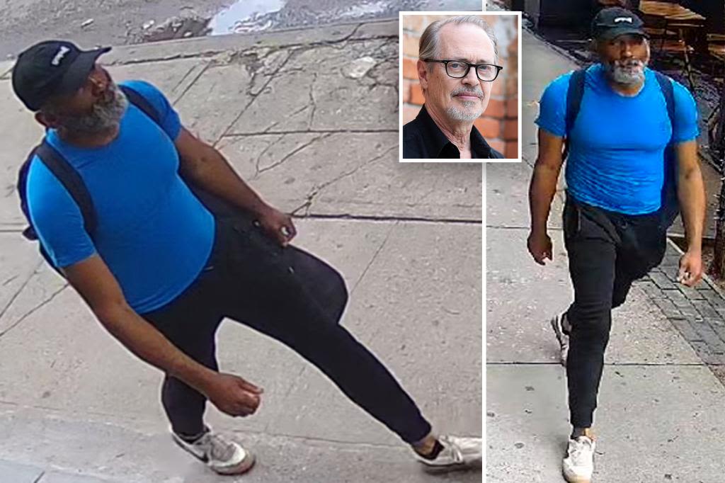 NYPD identifies ‘person of interest’ wanted for randomly slugging actor Steve Buscemi on NYC street