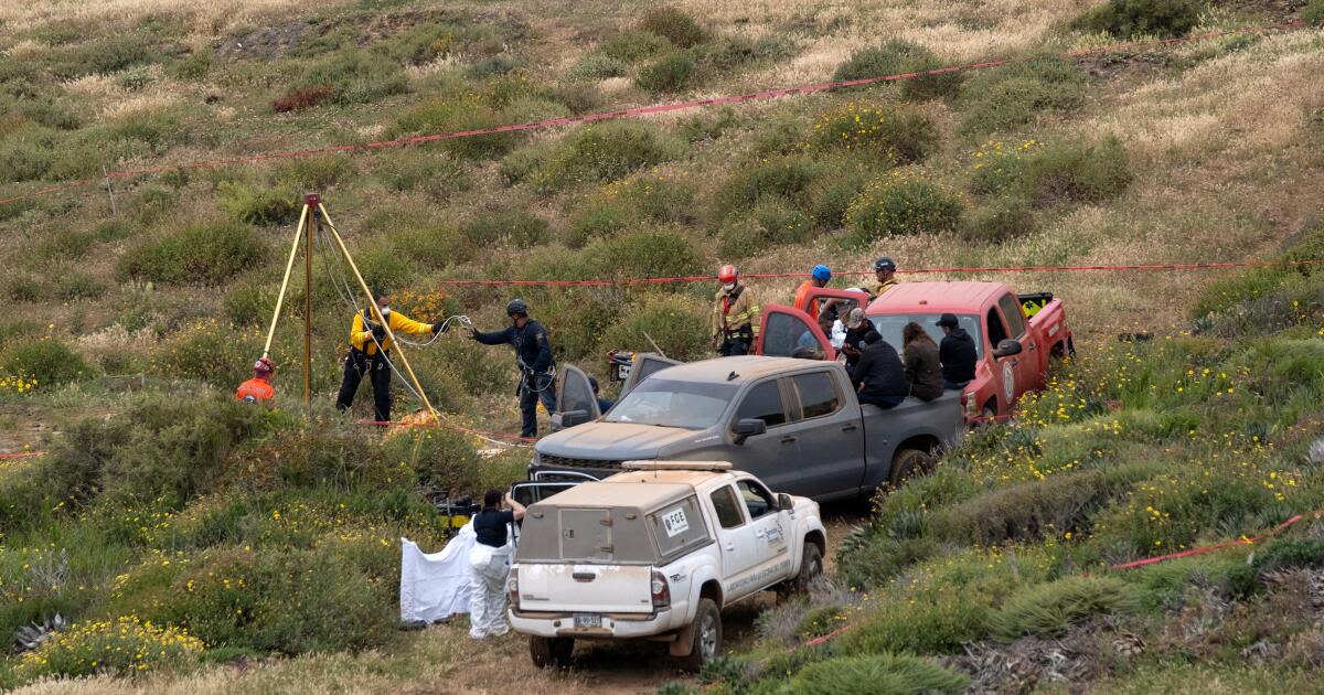 Bodies found in Baja California during search for missing tourists, Mexican officials say