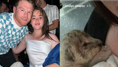 Cuestionan si es legal tener un león como mascota tras foto de la hija del Canelo Álvarez