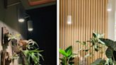 This grow light on Amazon is the best-kept secret for growing your indoor plants in a dark room