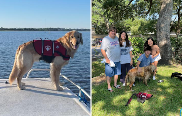 Dog missing after boat accident found alive with his life vest on