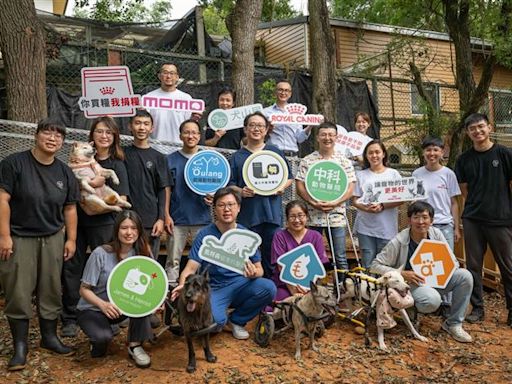 關懷老齡貓犬！法國皇家捐犬山居價值60萬飼料 籲「終養不棄養」