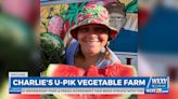 Morning Reporter Everett Ganier Jr. LIVE at Charlie's U-Pik in Wiggins for all the fruits and vegetables - WXXV News 25