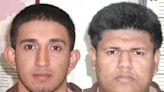 8 homicidios brutales: líder pandillero MS-13 se declara culpable en Nueva York y le esperan de 40 a 70 años de cárcel - El Diario NY