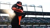 Orioles fan vies for MLB catch of the year with drink, phone, baby stroller in tow