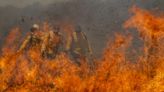 Entrevista: 'Os incêndios são todos por ação humana', afirma cientista da Embrapa-Pantanal