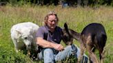 Devon family save day-old abandoned fawn