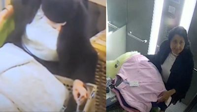 Video: Woman Makes Crores Of Money By Shoplifting For 4 Years In England & Wales, Ends Up With 10-Year-Long Jail