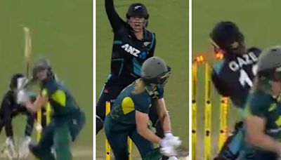 WATCH: Ellyse Perry Left Bamboozled After Being Dismissed in the Most Bizarre Run-Out - News18