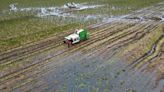 Climate change leading to food price volatility, campaigners warn