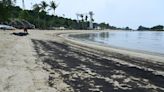 Singapore's Sentosa island beaches closed due to oil spill