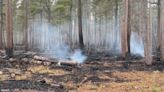 Wildfire started by prescribed burn torches 209 acres of the Superior National Forest