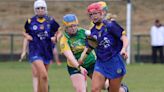 Sadhbh Hartley hat-trick helps Wicklow to U16 All-Ireland camogie final