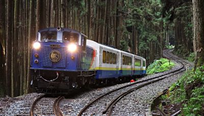 【專訪】再一次的百年感動 阿里山林鐵睽違15年全線通車「要拚世界文化遺產」 | 話題人物 - 太報 TaiSounds