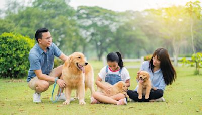 友善寵物之城 帶毛小孩暢玩台中Fun風趣！