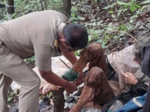 Shepherd heard American woman cry in Maharashtra forest; found her tied to tree with iron chain