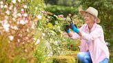 Gardening expert reveals 10 jobs you should do in June to get a perfect garden