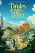 Apollon le grillon et les drôles de petites bêtes