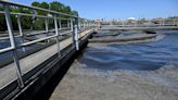 200,000 gallons of raw sewage spilled in Bradenton after lightning strike, city says