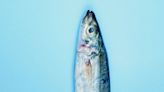 What is the healthiest fish? This surprising No. 1 pick beat out salmon