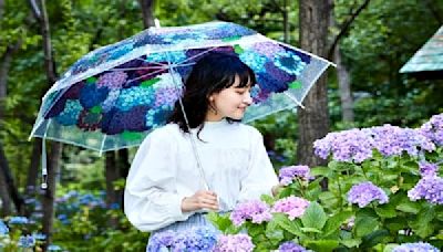 梅雨季節，26個紫陽花名所免費借你紫陽花傘拍照 | 蕃新聞