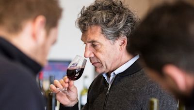 Domaine Paul Mas: marca apresenta vinhos 'gulosos', sustentáveis e inovadores do Sul da França