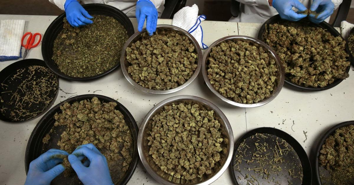 Judge OKs extra pot tax, rules in favor of St. Louis, St. Charles counties