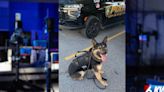 Bettendorf K9 Lewis receives new vest