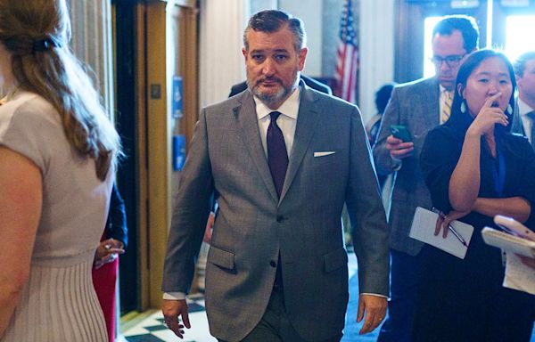 GOP senators amused as Ted Cruz seeks to move bill: ‘The foot’s on the other hand’